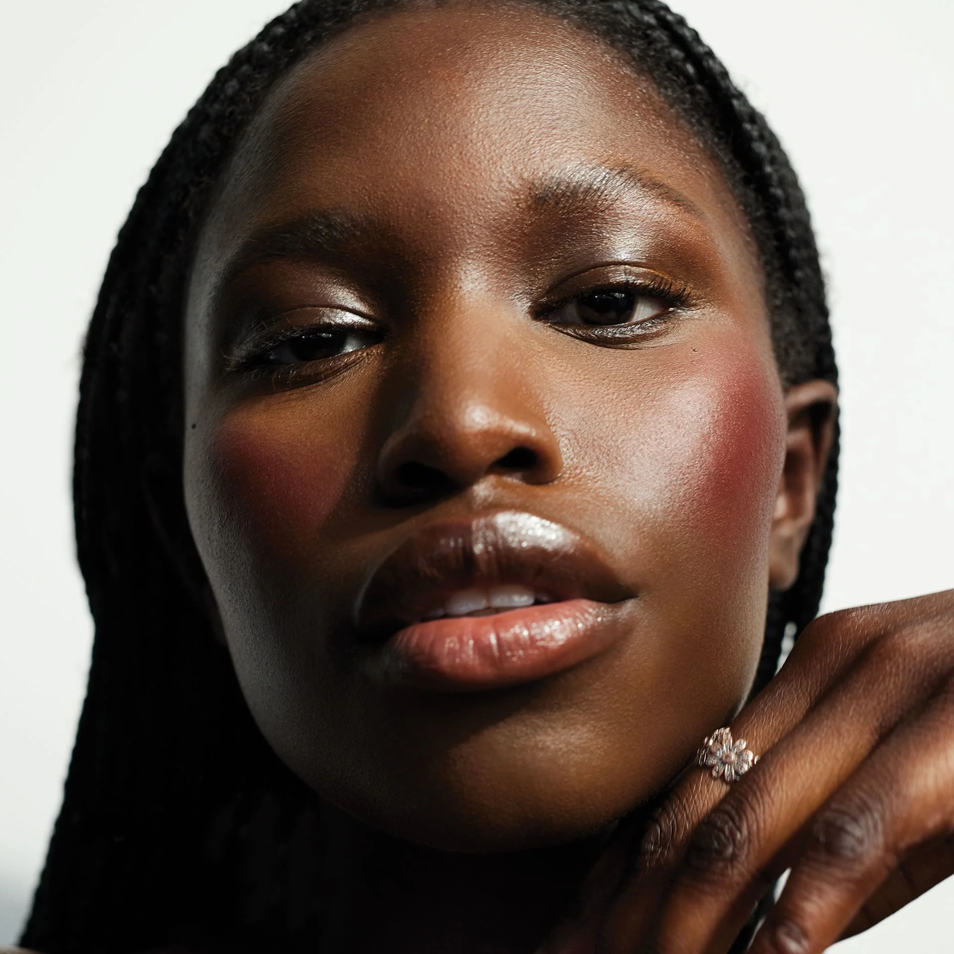 The Best Blush, Bronze + Contour