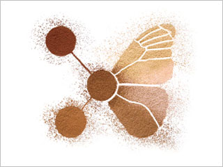 Fight Free Radicals With An Eco-Friendly Foundation featured image