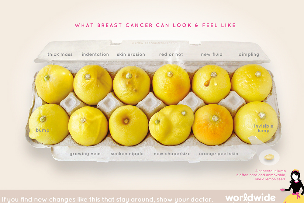 Why This Picture of Lemons is Going Viral for All the Right Reasons featured image