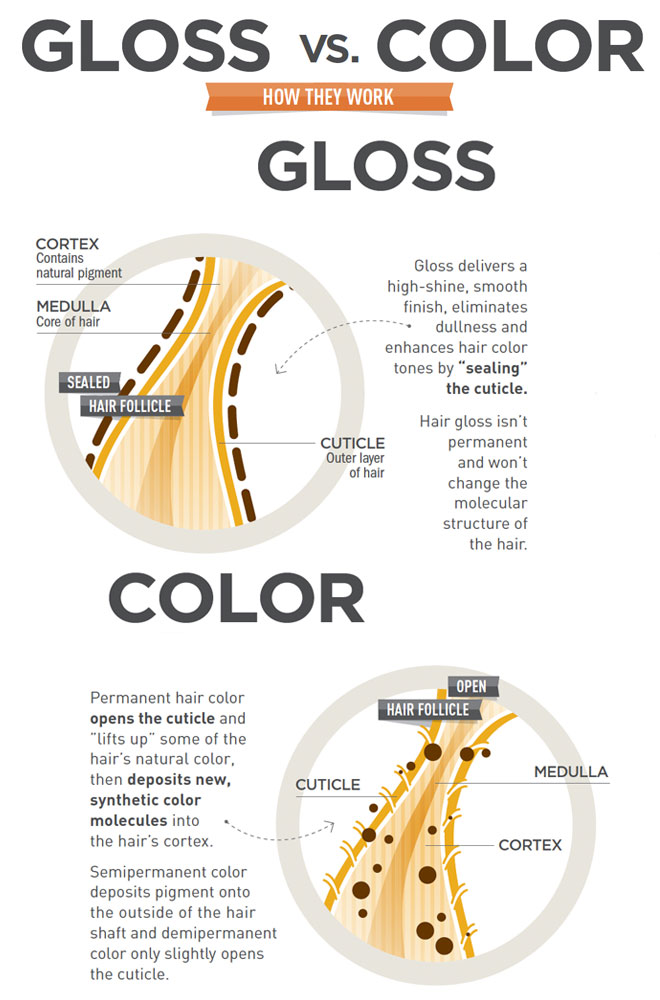 Infographic: Gloss vs. Color featured image