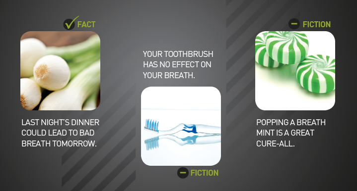 Fresh Breath Fact vs. Fiction featured image