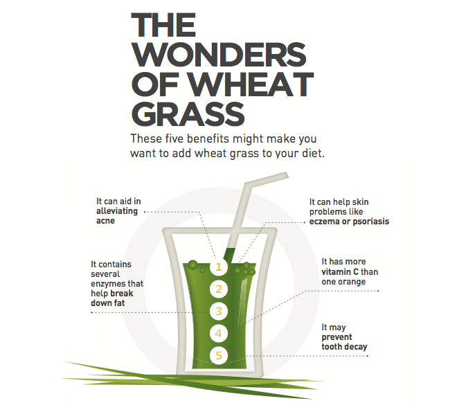 Infographic: 5 Beauty Reasons We Love Wheat Grass featured image