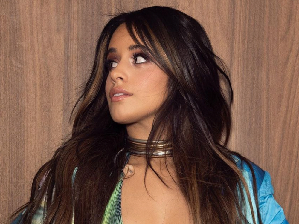 The Product Camila Cabello Says ‘Helped So Much’ With Her Blackheads featured image