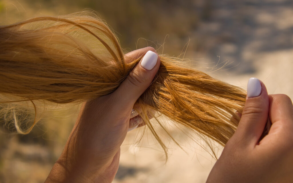 The Hair Cuticle: Your Healthy Hair Guide featured image