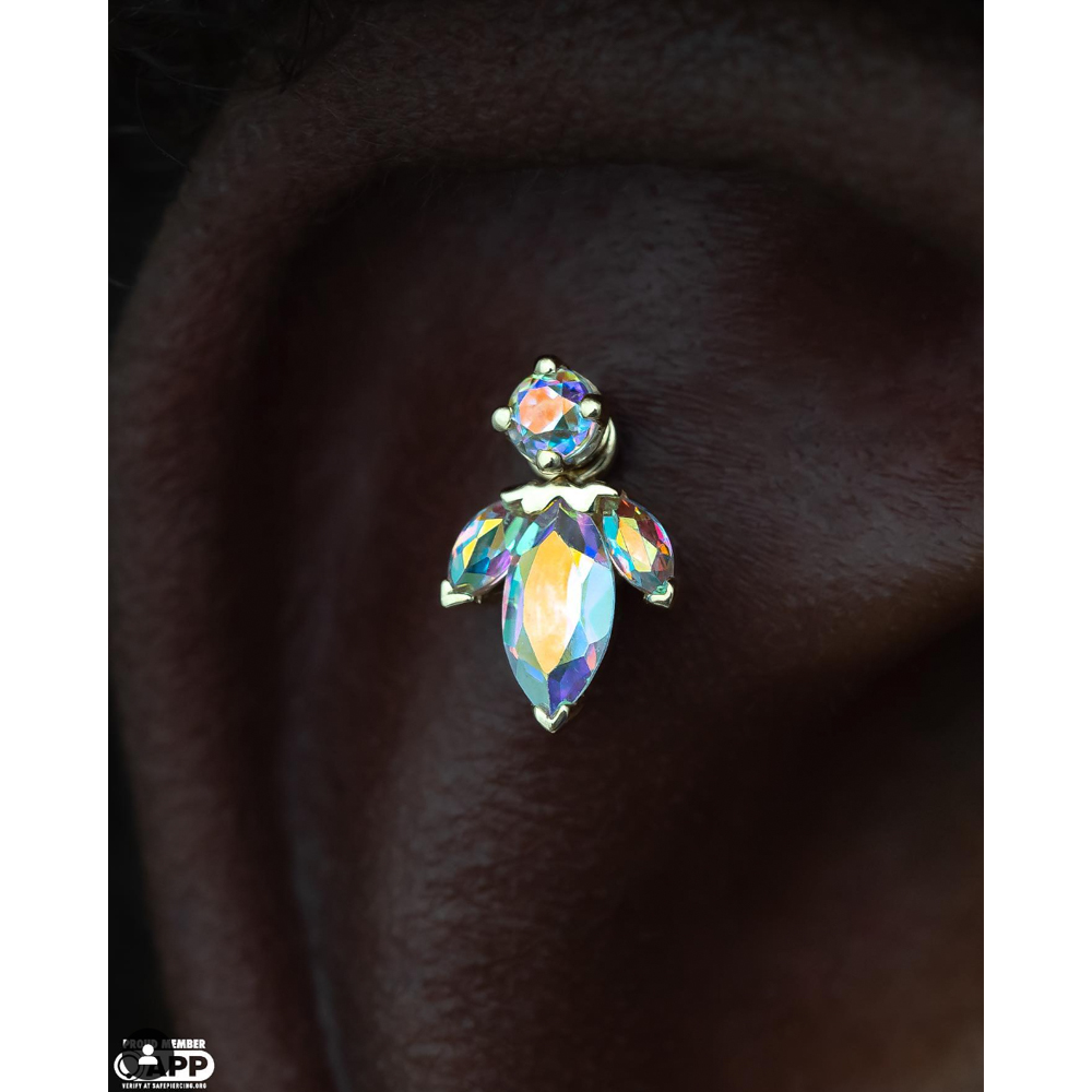 outer conch ear piercing